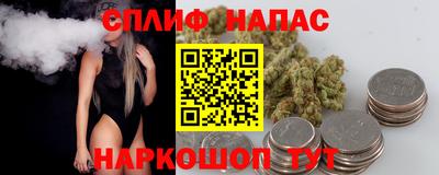 сатива Вышний Волочёк